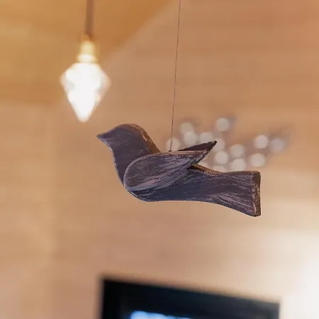 White & Black Kołczewo