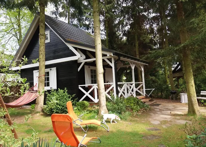 White & Black Chalet